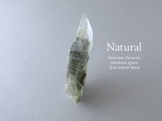 画像6: クローライト入り ☆ ガネーシュヒマール産 ヒマラヤ水晶 結晶カット ペンダントトップ (6)