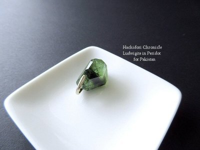 画像3: 小粒ラフカット ☆ ルドウィジャイトインペリドットの結晶カットペンダントトップ